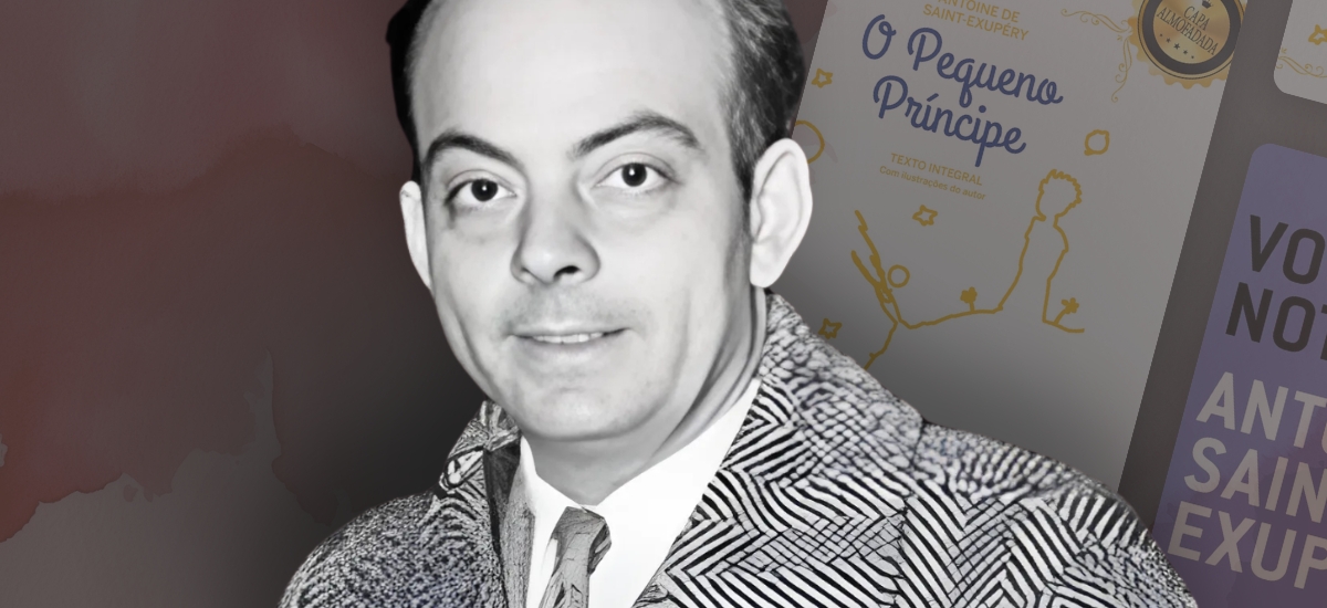 Livro O Pequeno Príncipe - 34 Melhores frases e sinopse