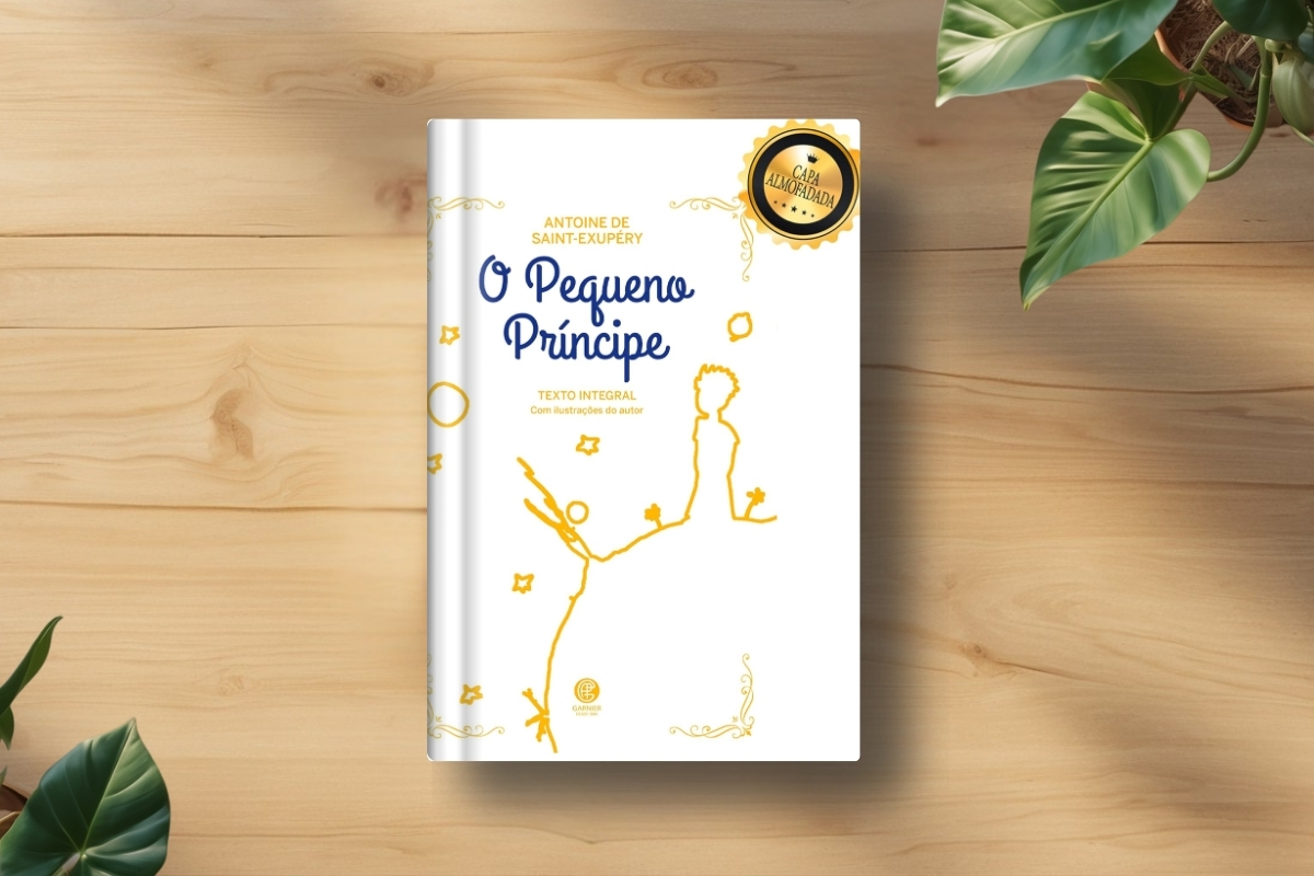 Livro O Pequeno Príncipe - 34 Melhores frases e sinopse