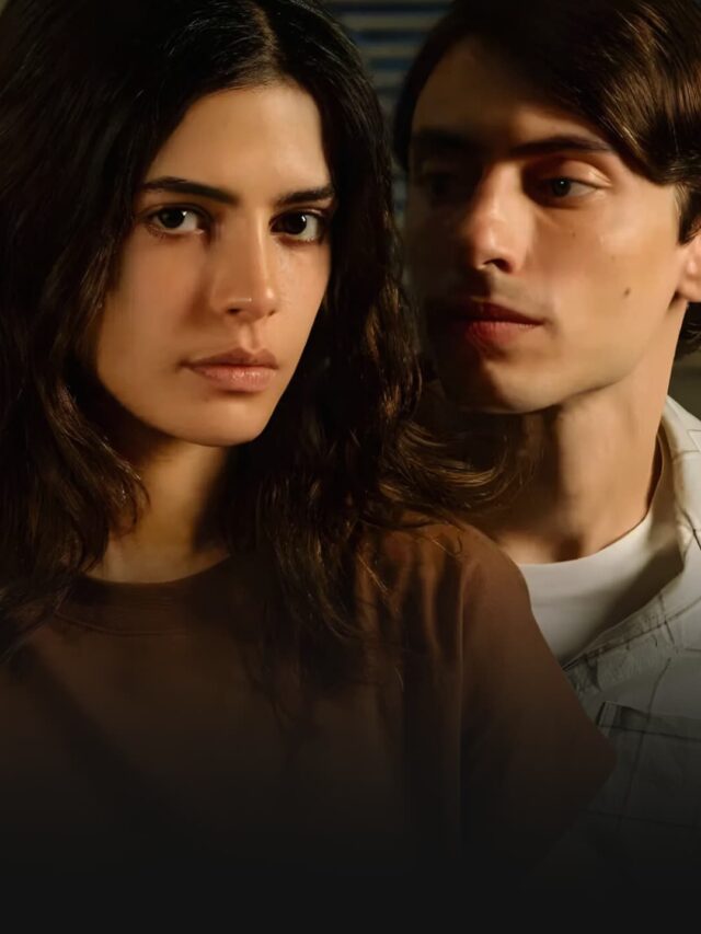 Dias Perfeitos e outros livros que viraram séries